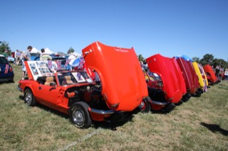 IMG_7271.jpg