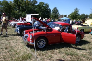 IMG_7285.jpg