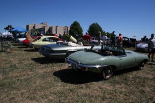 IMG_7293.jpg