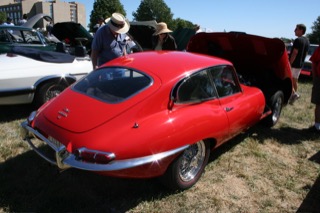 IMG_7296.jpg