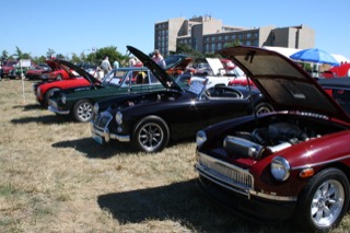 IMG_7312.jpg