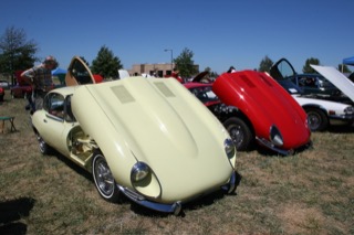 IMG_7334.jpg