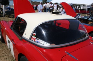 IMG_7343.jpg