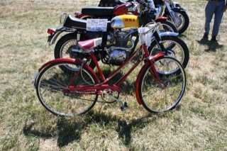 IMG_7355.jpg
