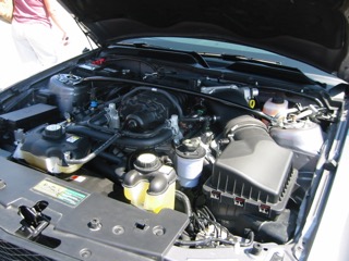 IMG_6367.jpg