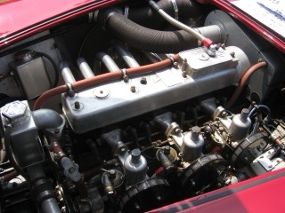 IMG_2061.jpg