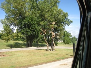 IMG_2161.jpg
