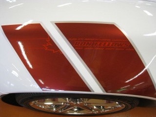 IMG_2229.jpg