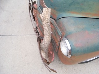 IMG_1576.jpg