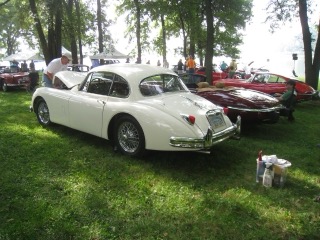 IMG_1000.jpg