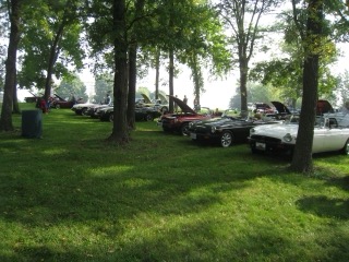 IMG_1012.jpg