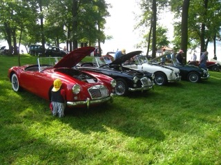 IMG_1016.jpg
