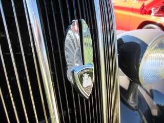IMG_3287.jpg