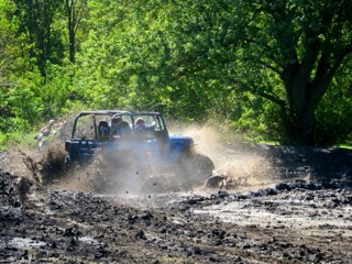 IMG_3167.jpg