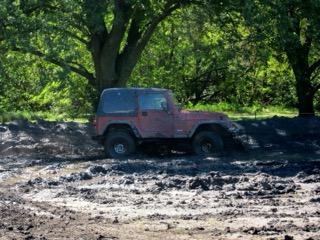 IMG_3181.jpg