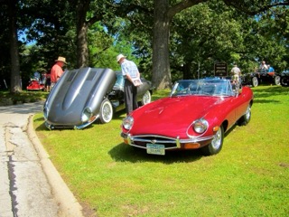 IMG_2842.jpg