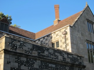 IMG_2959.jpg