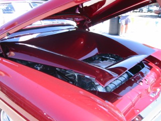 IMG_2257.jpg
