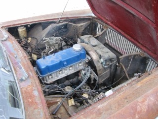IMG_6293.jpg