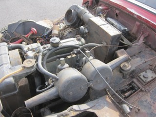 IMG_5290.jpg