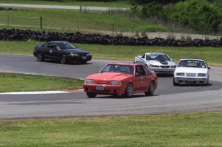7C5D1032.jpg