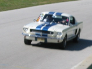 IMG_1473.jpg