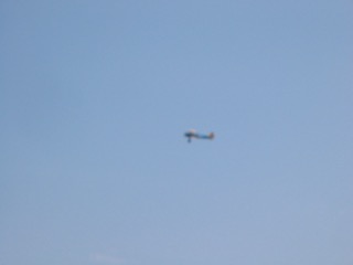 IMG_3467.jpg