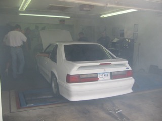 IMG_2393.jpg
