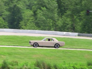 IMG_0156.jpg