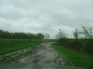 IMG_5110.jpg