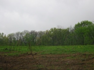 IMG_5114.jpg