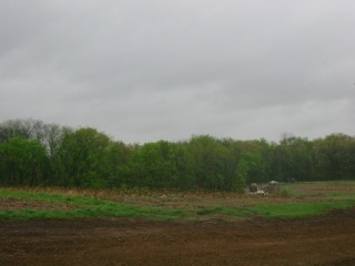 IMG_5115.jpg