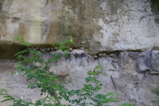 IMG_6659.jpg