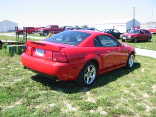 IMG_4228.jpg