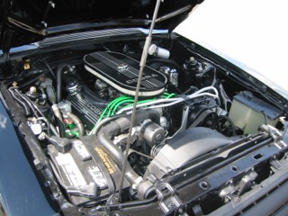 IMG_2495.jpg