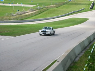 IMG_2650.jpg