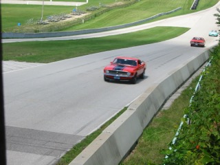 IMG_2729.jpg