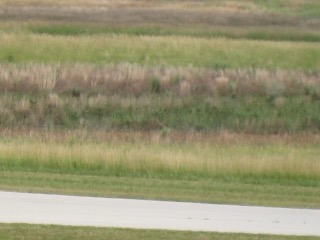 IMG_0365.jpg