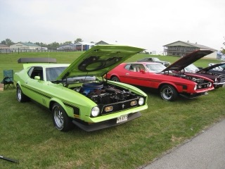 IMG_2803.jpg