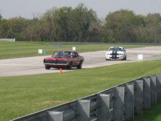 IMG_2926.jpg