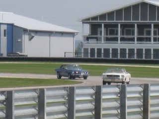 IMG_2981.jpg