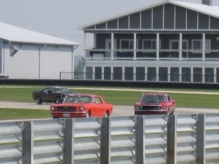 IMG_2986.jpg