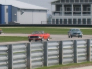 IMG_2997.jpg