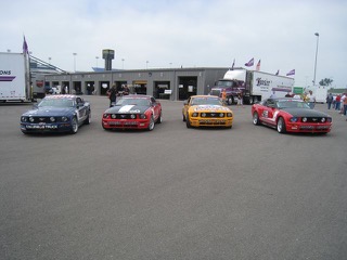 IMG_1595.jpg