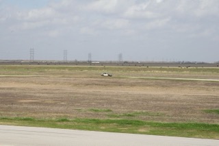 IMG_8711.jpg