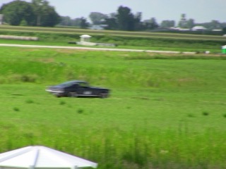 IMG_0233.jpg