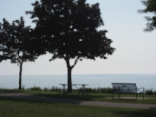 IMG_1963.jpg