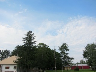 IMG_2176.jpg