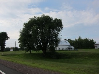 IMG_2178.jpg