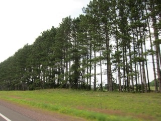 IMG_2179.jpg